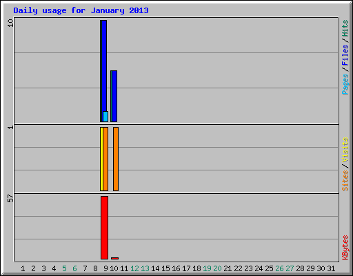 Daily usage for January 2013